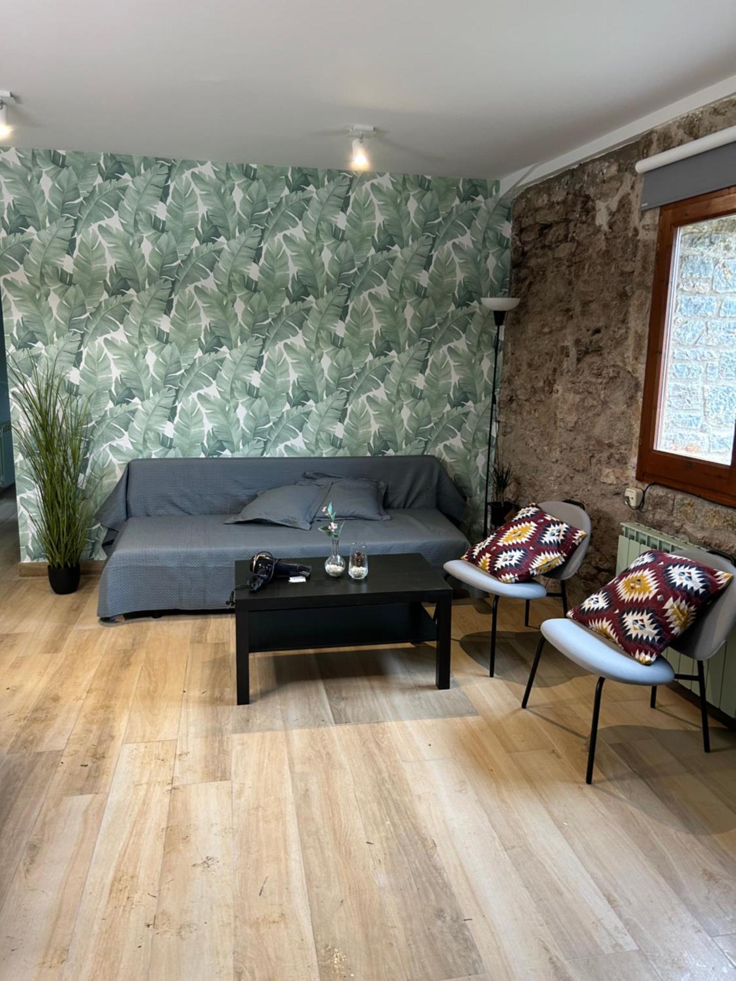 Cal Xesc Apartman Castellar de n’Hug Kültér fotó