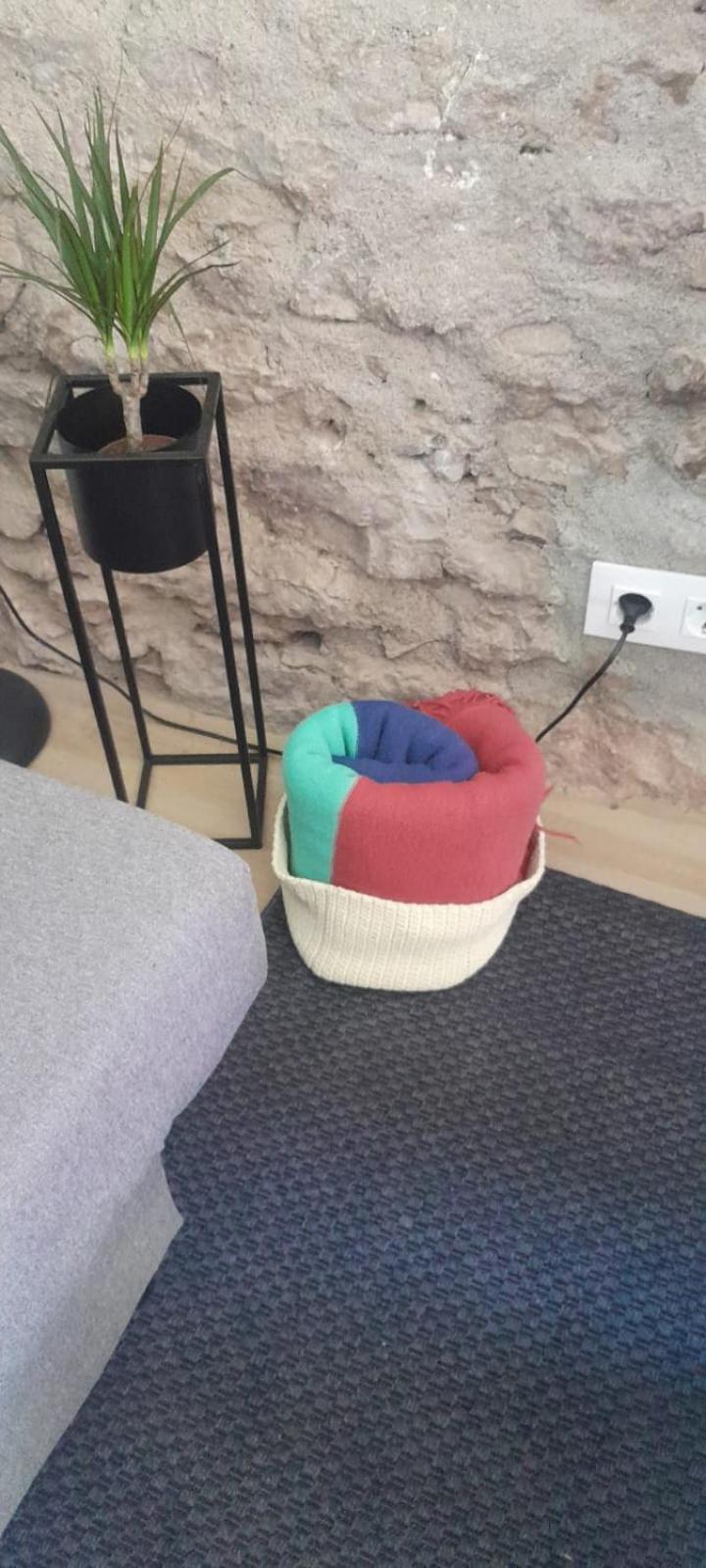 Cal Xesc Apartman Castellar de n’Hug Kültér fotó